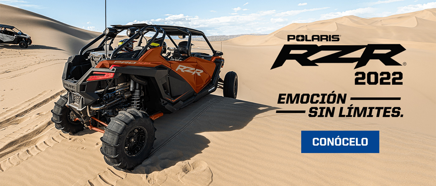 RZR 2022